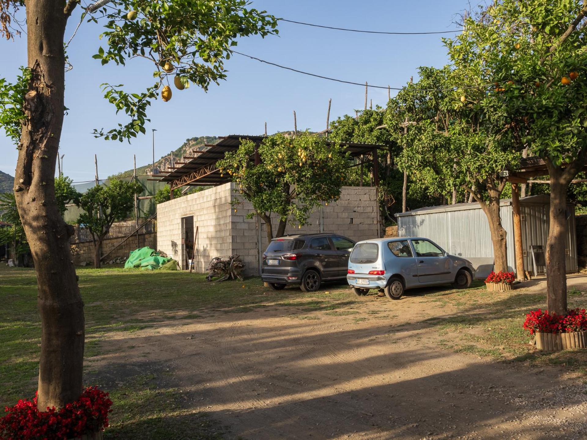 Giardino Di Nonno Lucio - Surrounded By Lemon Tree Villa Piano di Sorrento Eksteriør billede