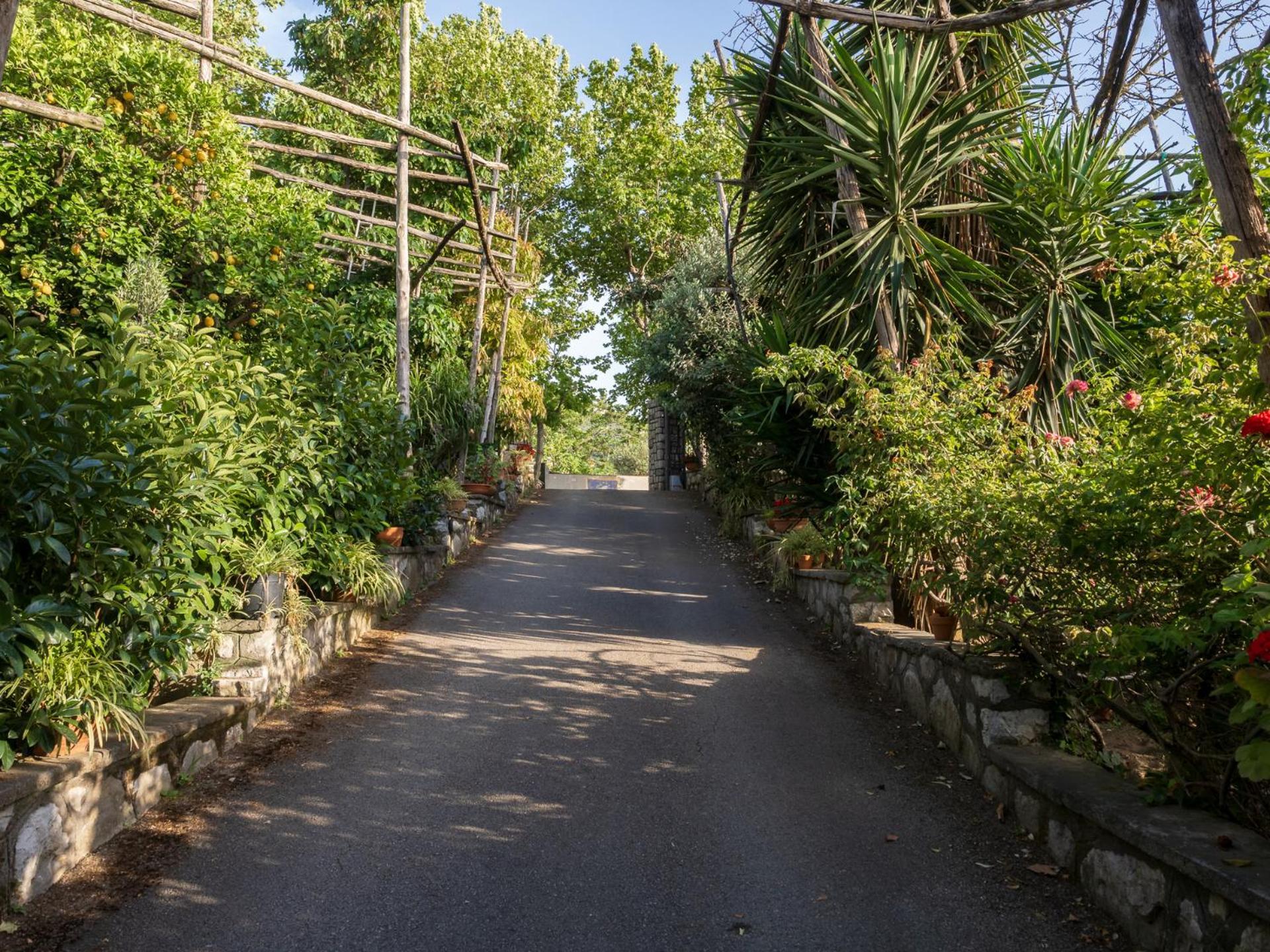 Giardino Di Nonno Lucio - Surrounded By Lemon Tree Villa Piano di Sorrento Eksteriør billede